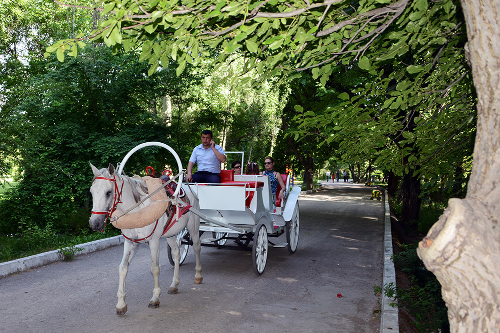 Horse and Carriage Horse and carriage in a Dushanbe park