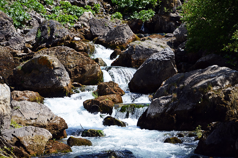 Mountain Creek Creek in the Fann Mountains Tajikistan