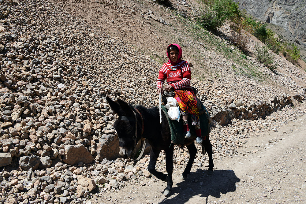 Donkey Ride Girl riding a donkey in the Fann Mountains Tajikistan
