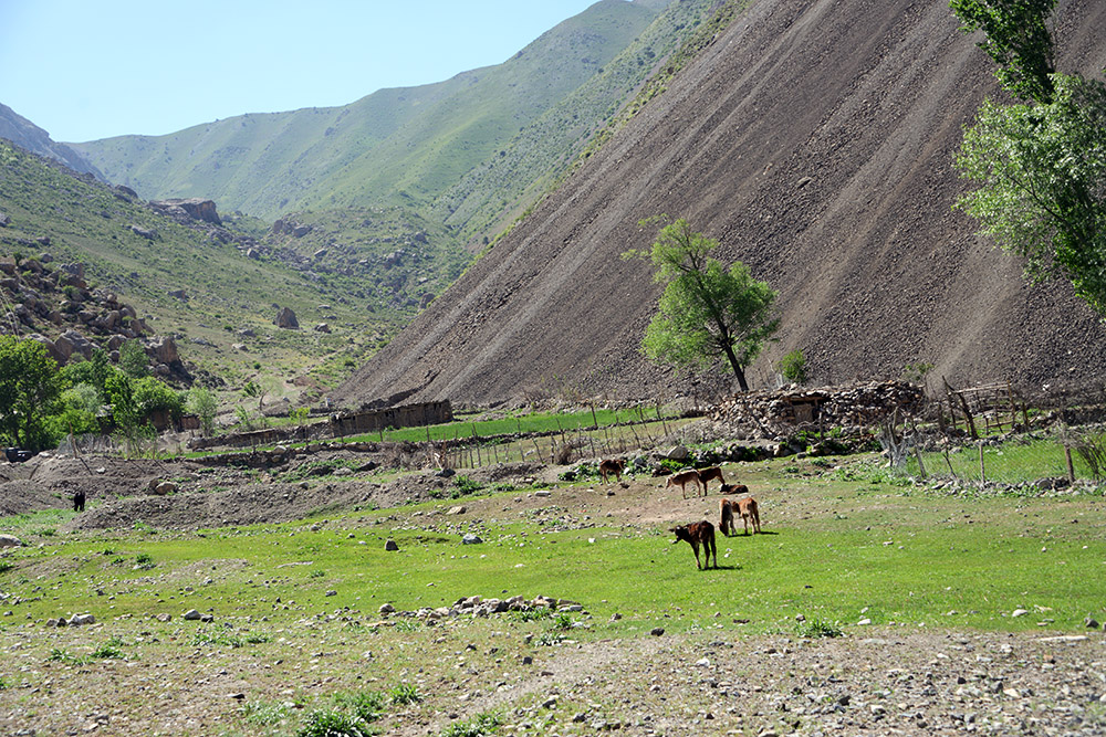 Mountain Village Village in the Fann Mountains Tajikistan