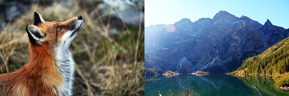 Tatras Mountains