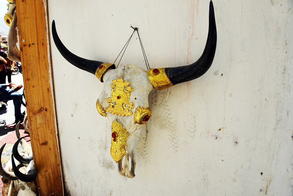 Decorated bull skull in Lhasa