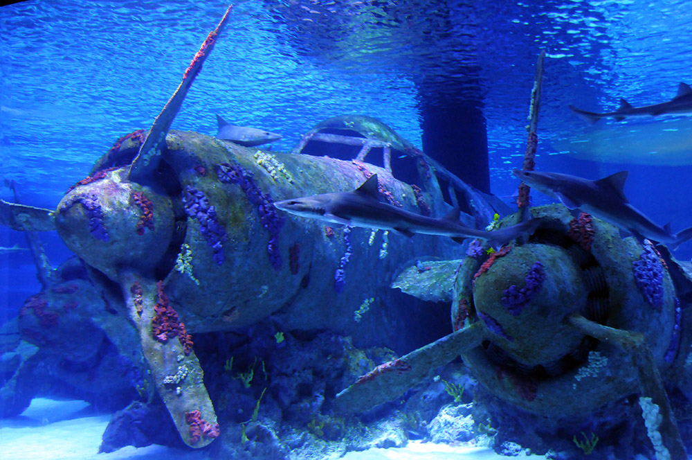 World War II aircraft display at Antalya Aquarium