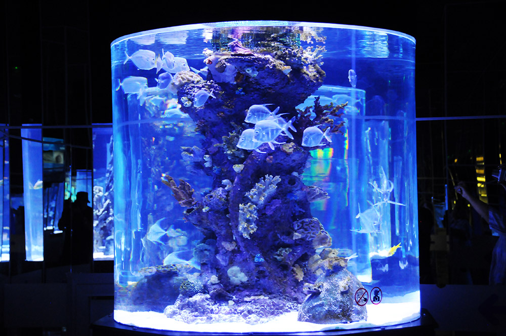 Cylinder aquarium tank in Antalya Turkey