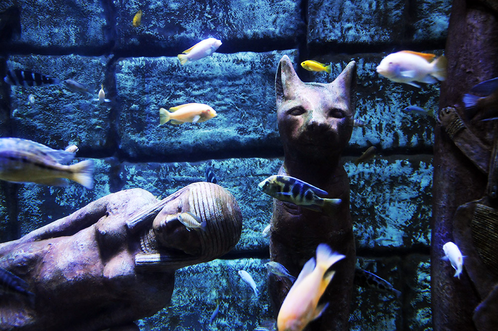 Egyptian themed display at Antalya Aquarium