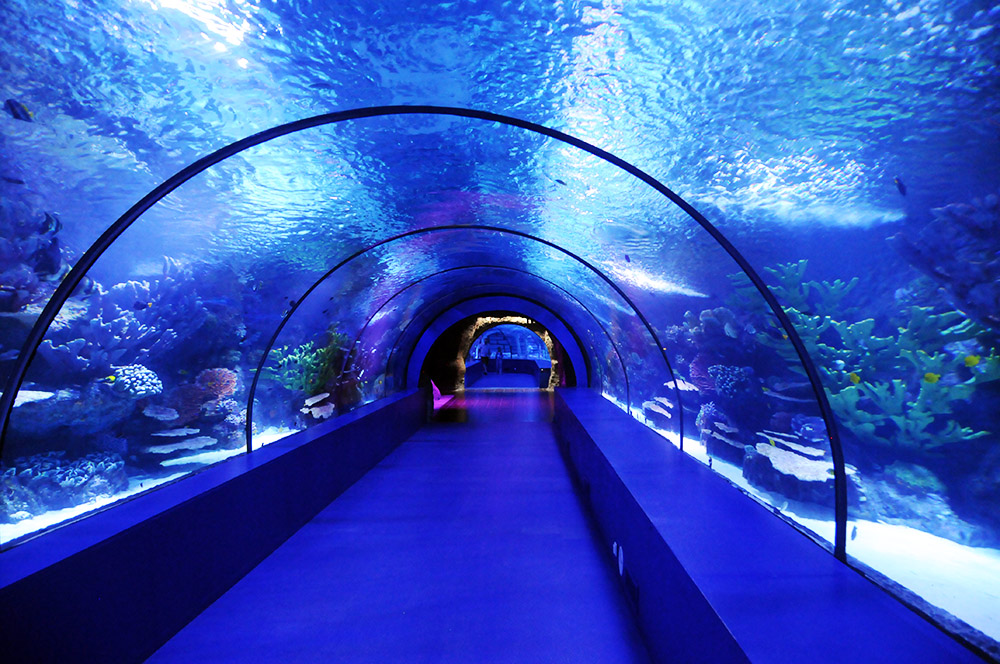 Underwater tunnel at Antalya Aquarium