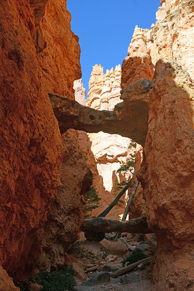 Natural arch in Bryce Canyon National Park