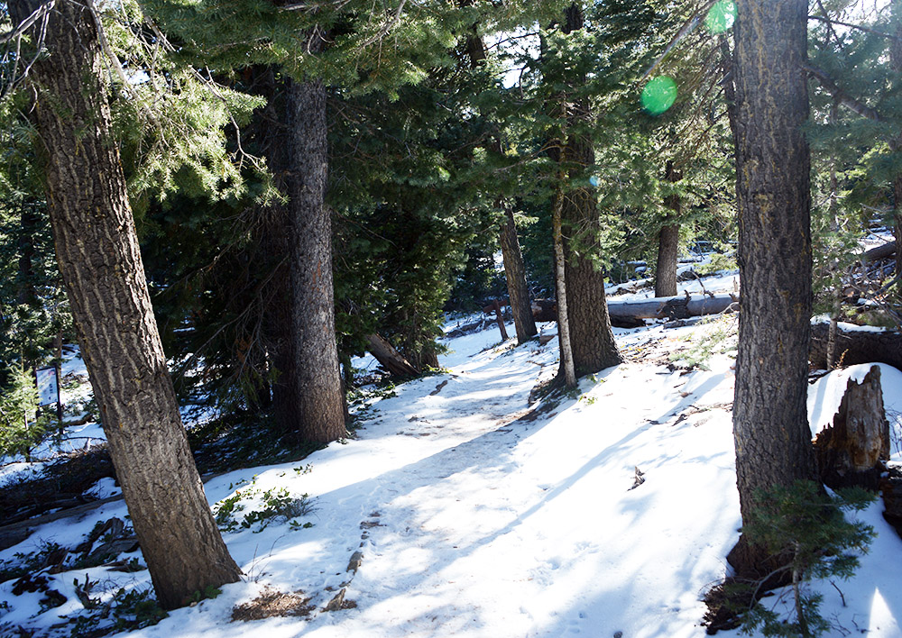 Snow in Bryce Canyon National Park