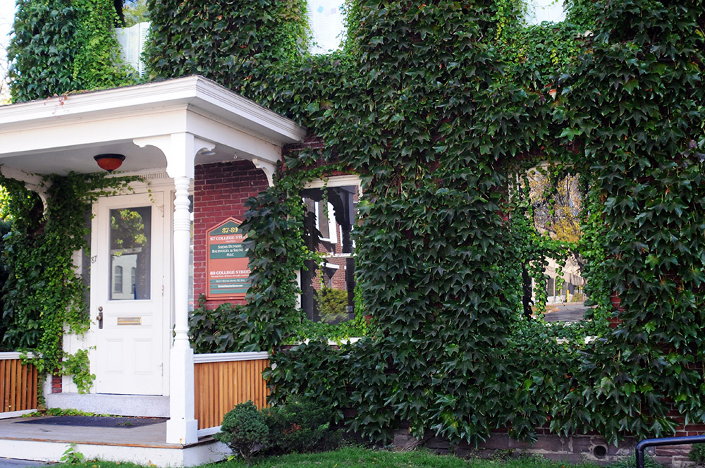 Ivy-covered building in Burlington Vermont
