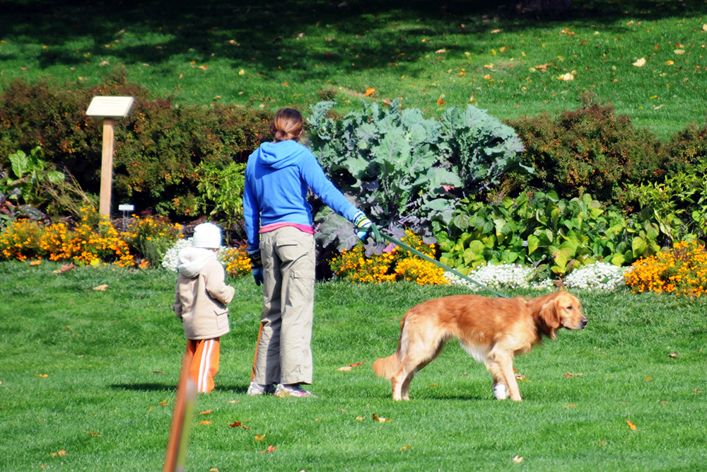People walking in a park in Montpelier Vermont