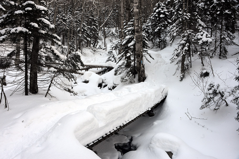Deep snow along Mt. Mansfield trail