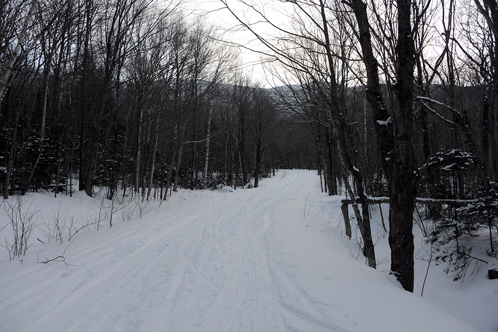 CCC Road on Mt. Mansfield