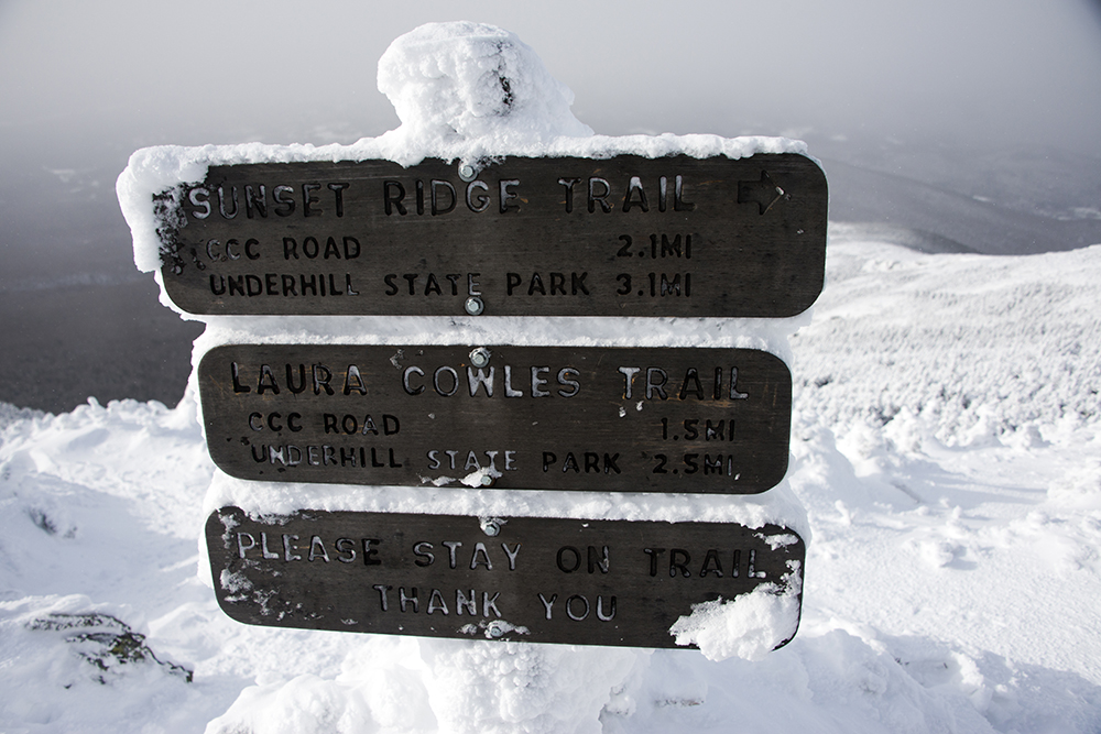 Laura Cowles and Sunset Ridge trail junction on Mt. Mansfield