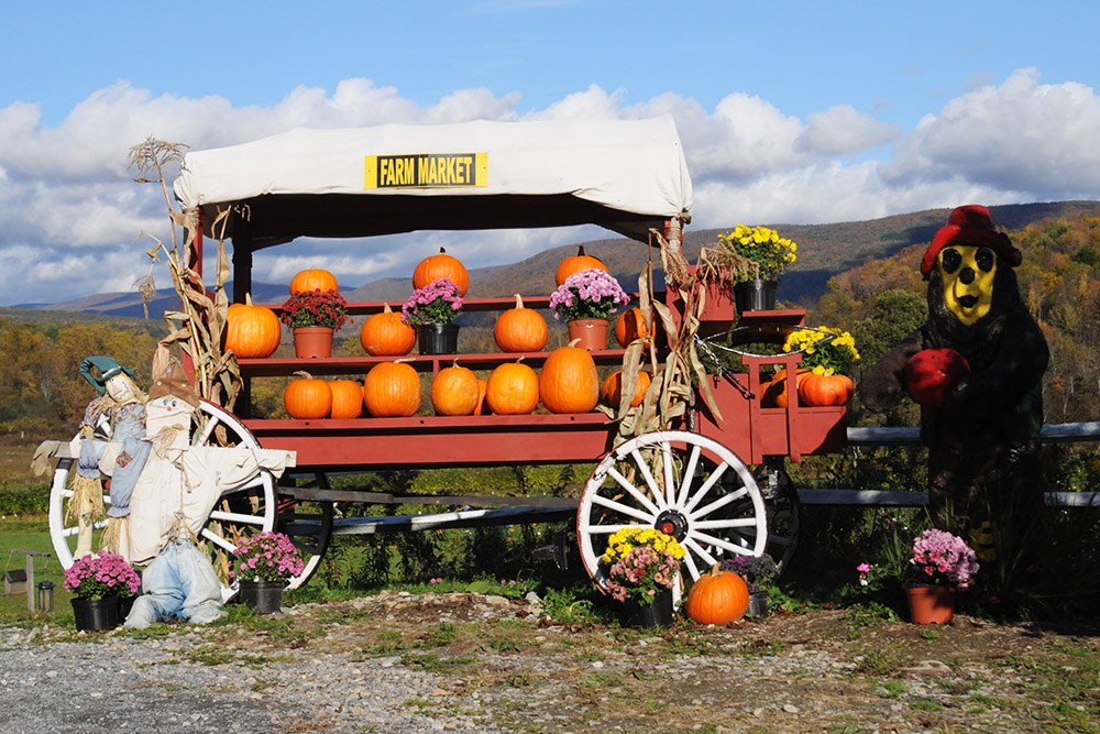 Pumpkins for sale in Vermont