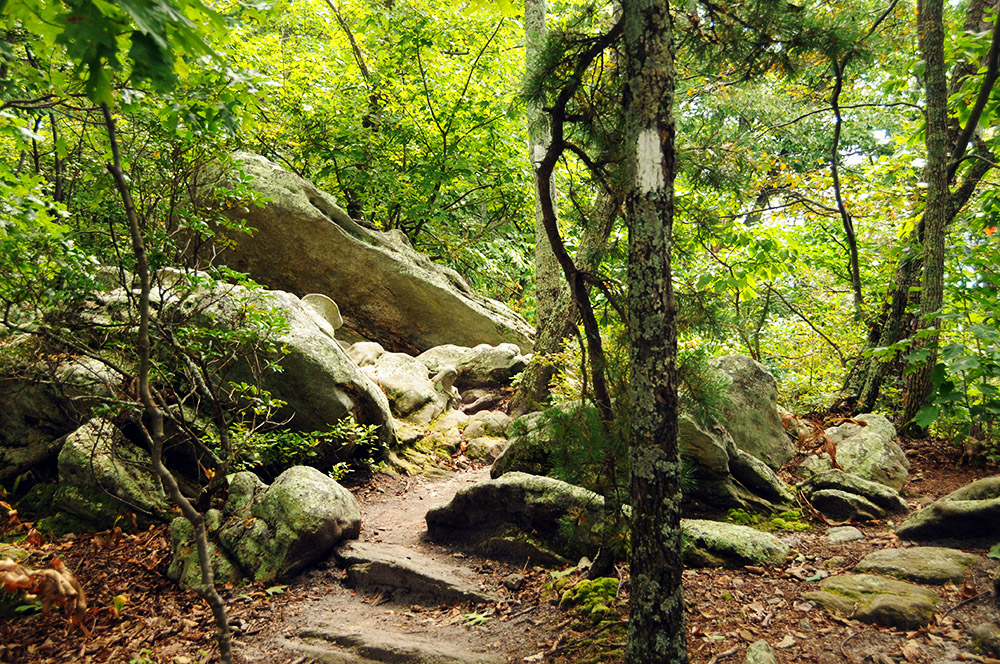 McAfee Knob Hiking Trail Rocky section of the McAfee Knob hiking trail
