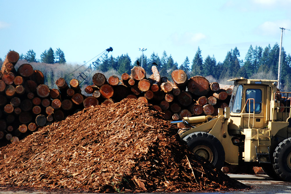 Lumber Lumber near the Port of Olympia