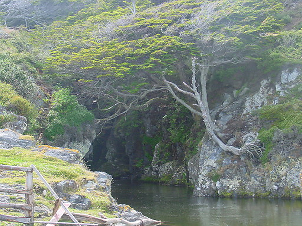 Creek in Tierra del Fuego Argentina