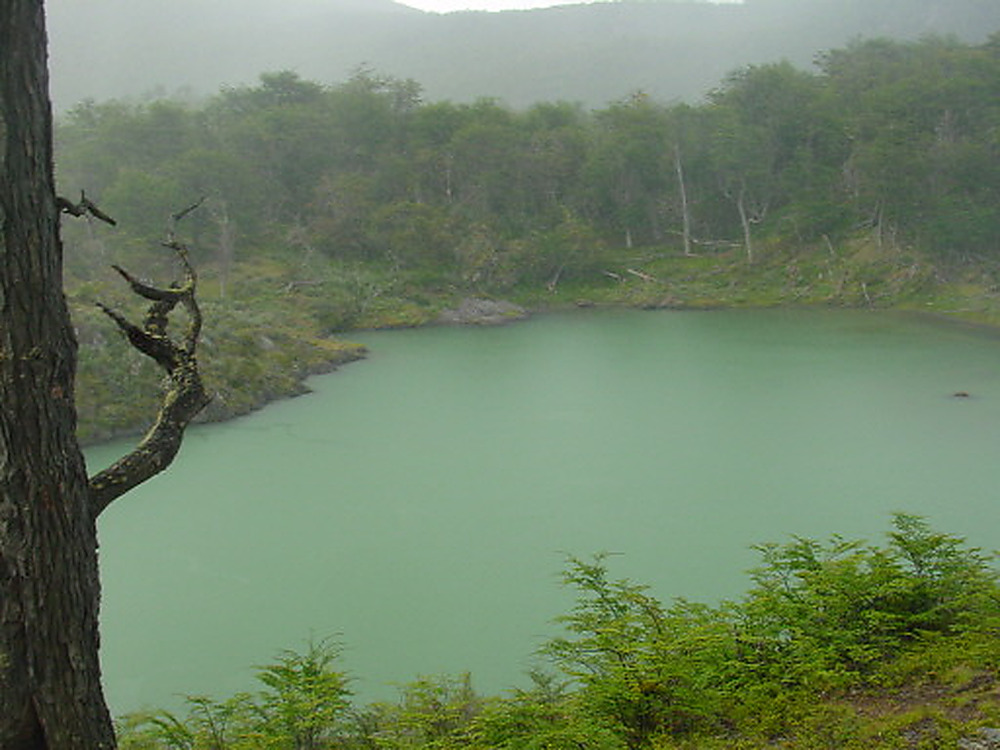Lagoon in Tierra del Fuego Argentina
