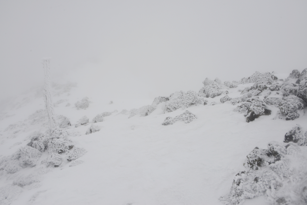 Ice-covered trail marker near the summit ridge of Humphreys Peak