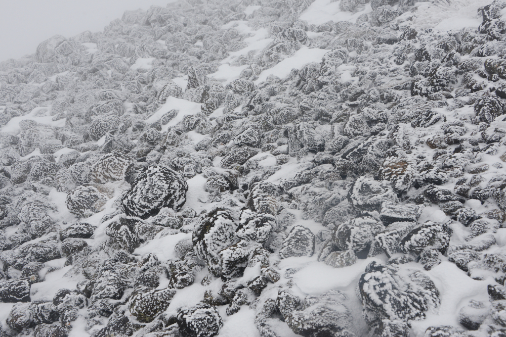 Rocks covered in windblown rime ice on Humphreys Peak
