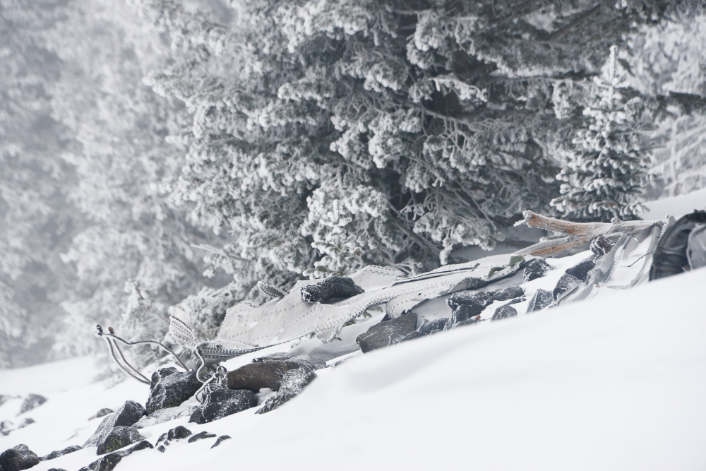 Additional remains of the 1944 B-24 bomber wreckage on Humphreys Peak
