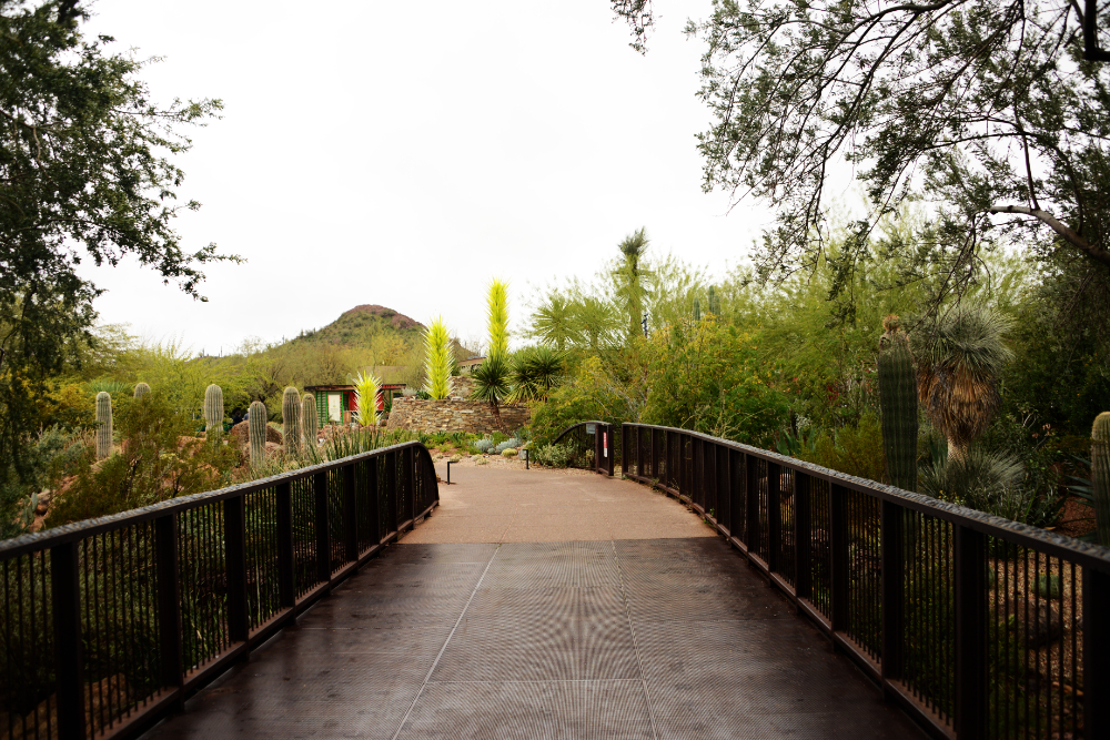 Entrance to the Desert Botanical Garden in Phoenix, Arizona