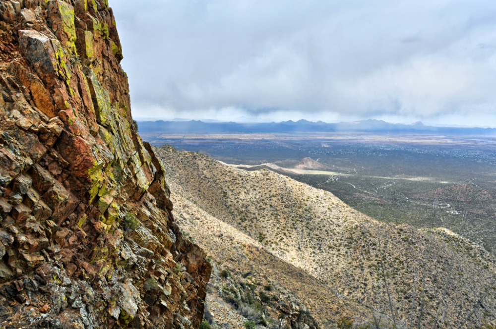 Rocky cliffs rising above saguaro-covered desert in Arizona