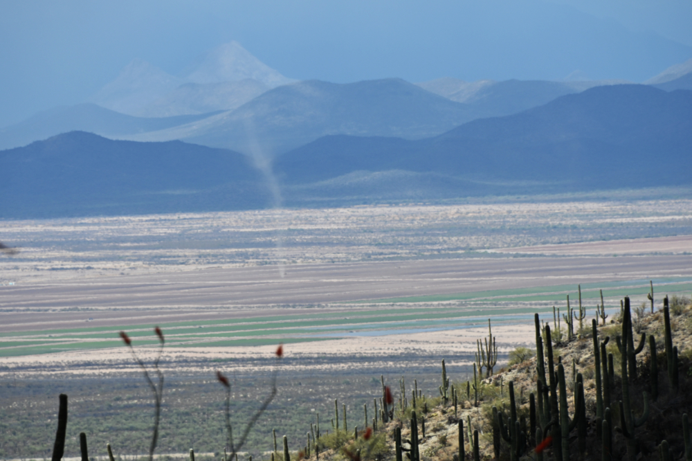 Dust devil crossing the Sonoran Desert in Arizona