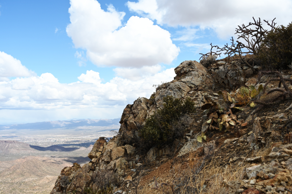 Rocky hiking trail through the Sonoran Desert in Arizona
