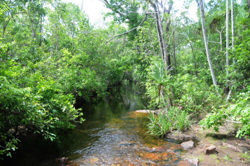 Creek in Litchfield National Park