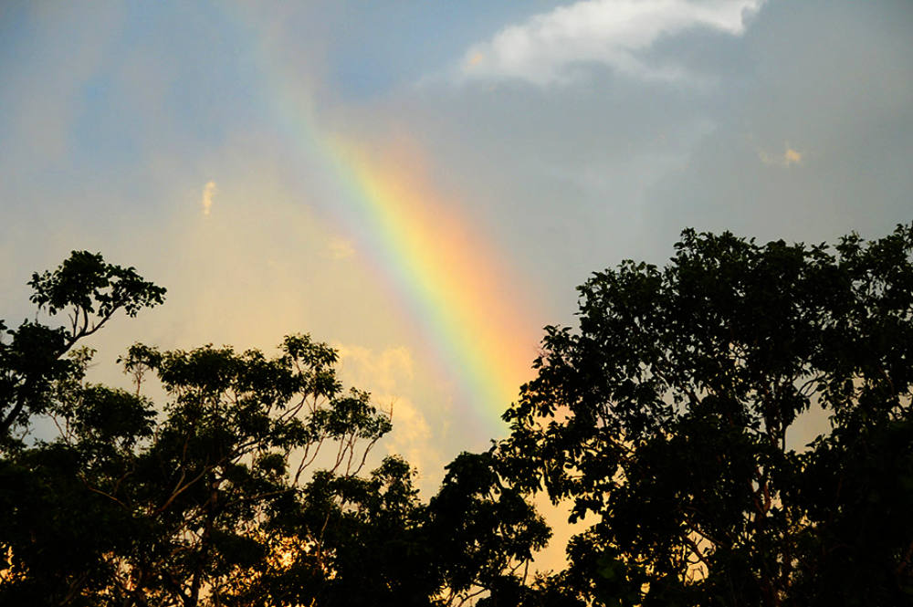 Rainbow over Litchfield National Park