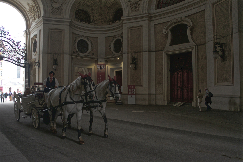 Horse carriage passing through historic imperial architecture in Vienna