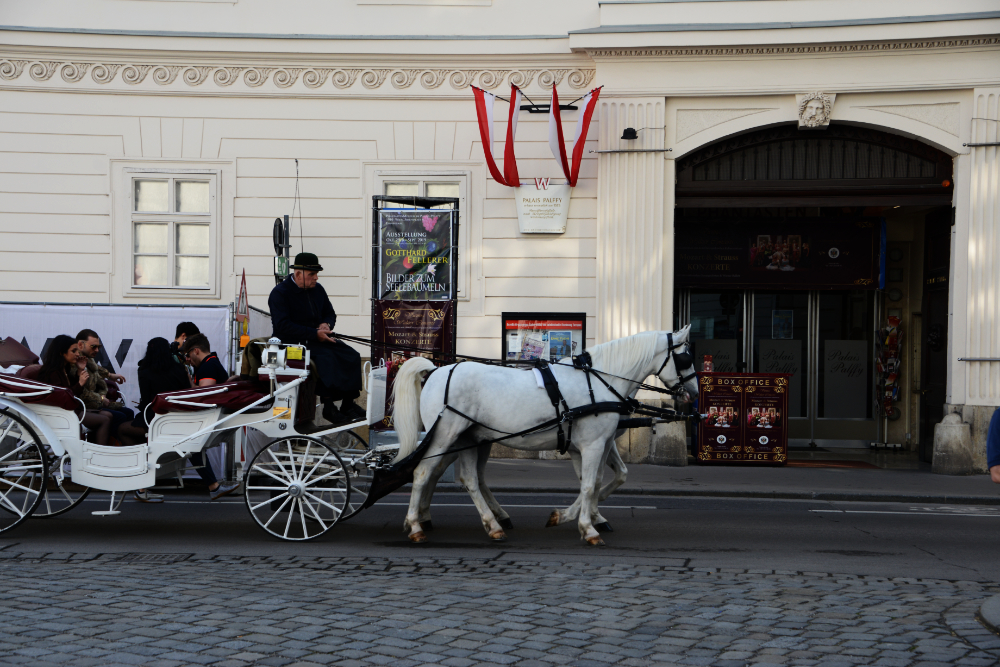 Horse-drawn carriage in historic Vienna