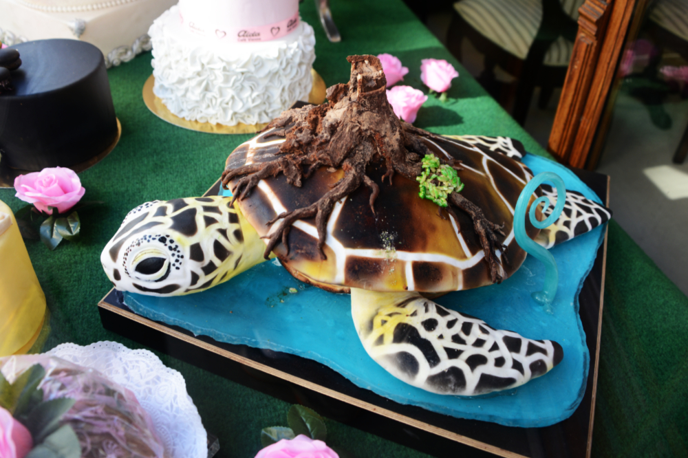Sea turtle shaped cake in a bakery window in Vienna