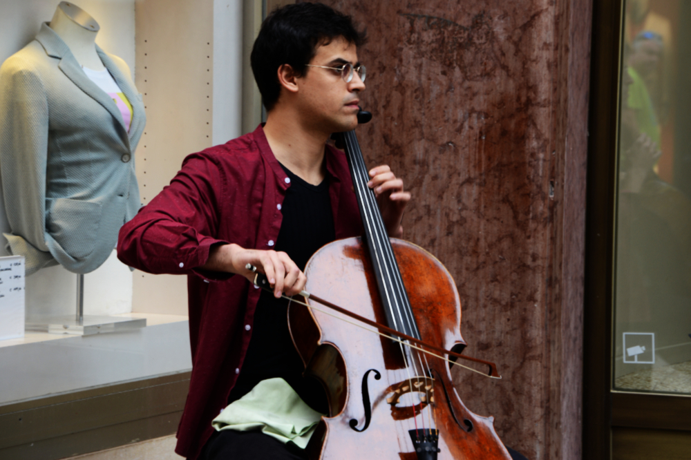 Violin photographed in Vienna, Austria