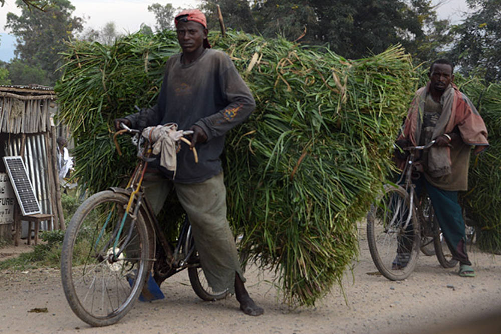 Bicycle transportation in Bujumbura