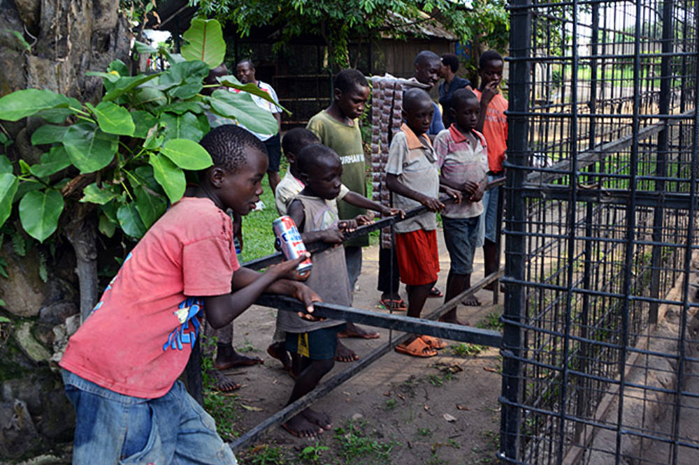 Children on a school trip at Bujumbura zoo