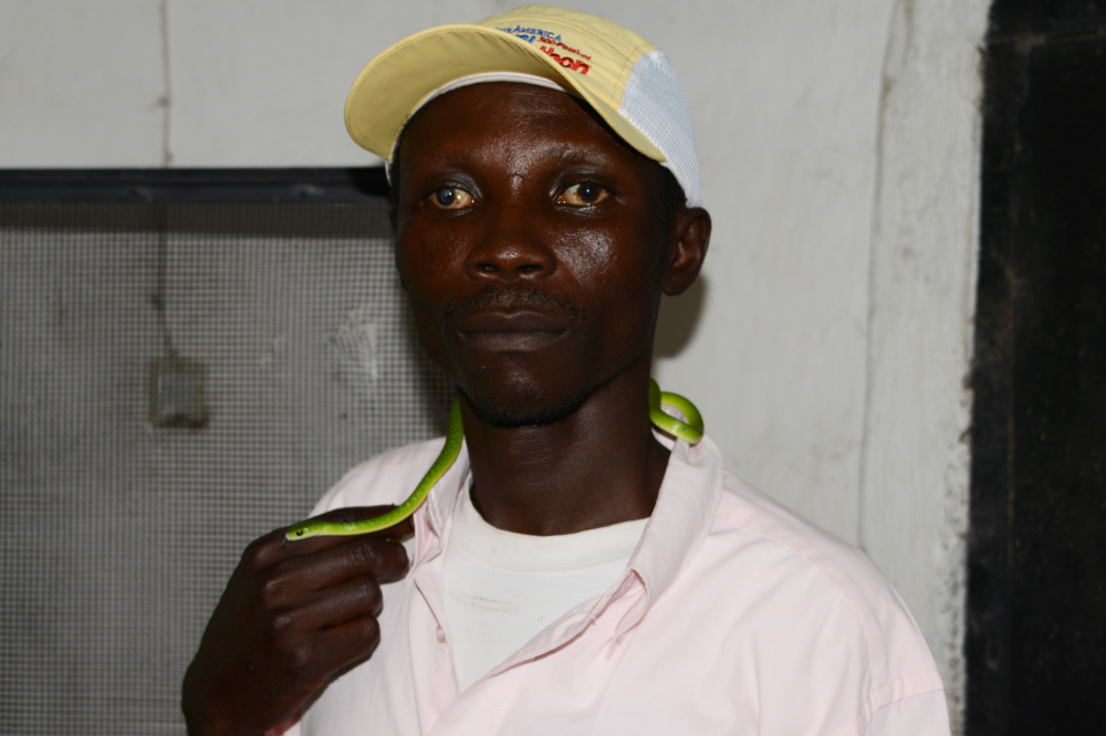 Zookeeper handling a snake at Bujumbura zoo