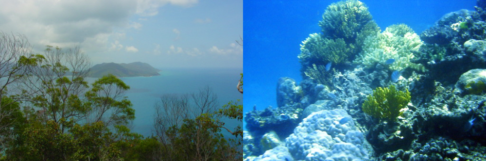 Explore Cairns, the Great Barrier Reef, and tropical Queensland rainforests
