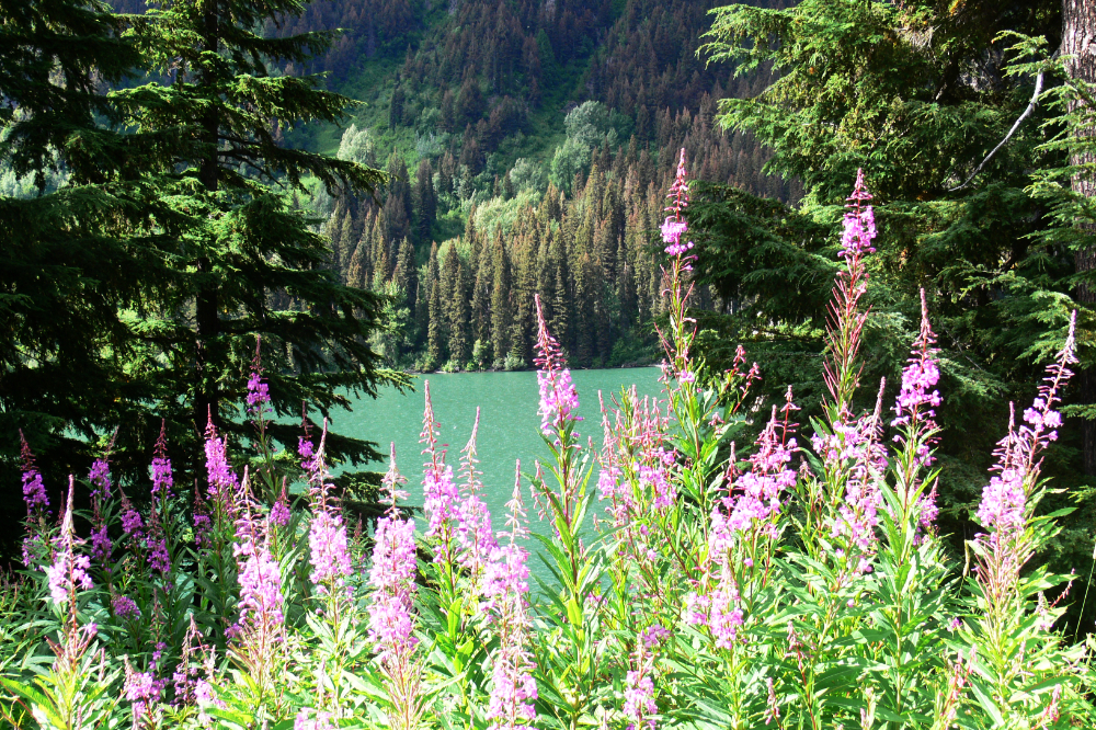 Mountain lake in the Garibaldi area of British Columbia