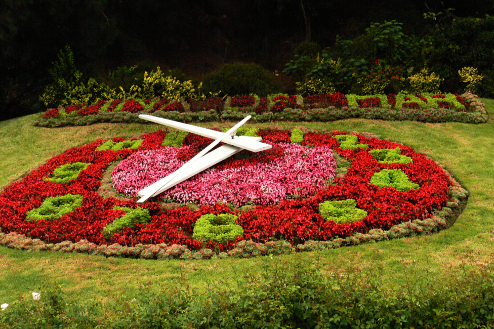 Flower Clock in Viña del Mar Chile