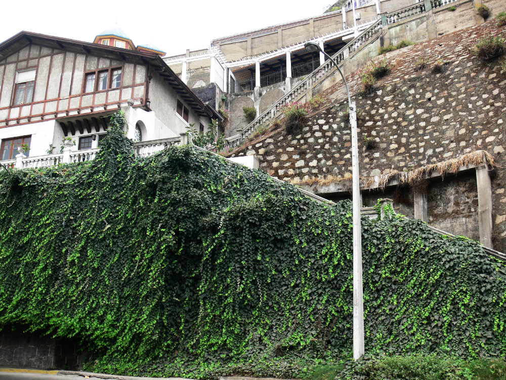 Coastal buildings in Viña del Mar Chile