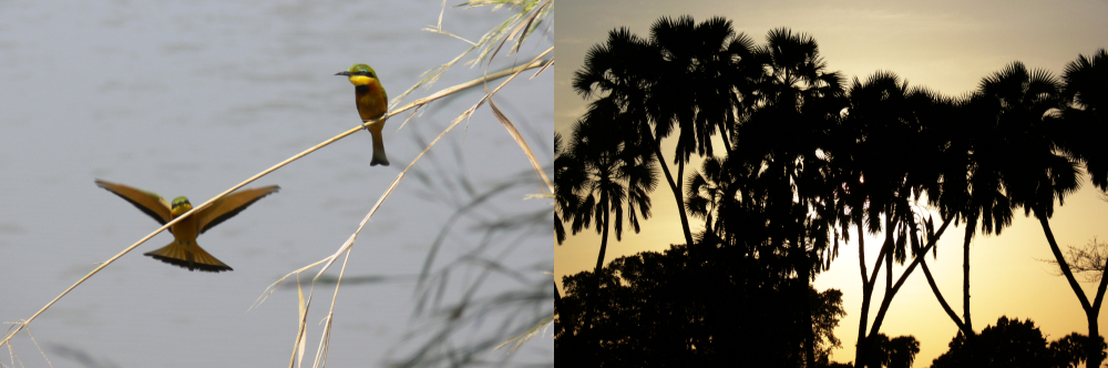 Dinder National Park in Sudan