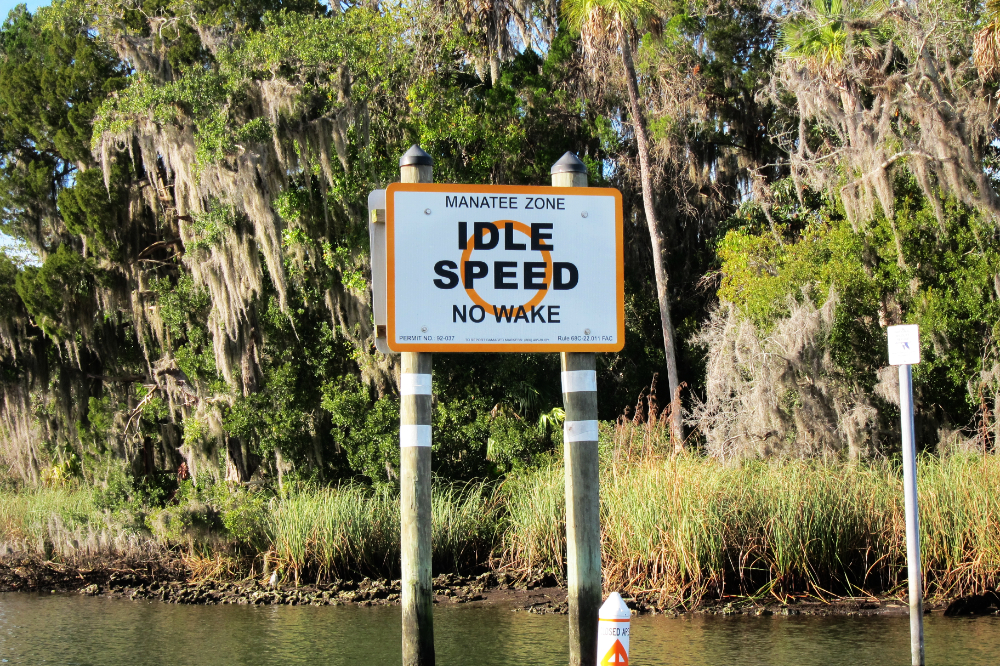 Manatee protection zone sign at Crystal River, Florida