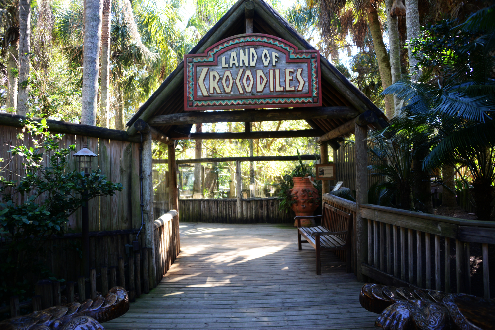 Crocodile at the St. Augustine Alligator Farm