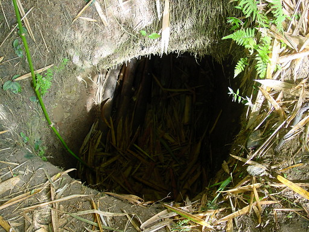 Underground hideout associated with Japanese soldiers remaining on Guam after World War II