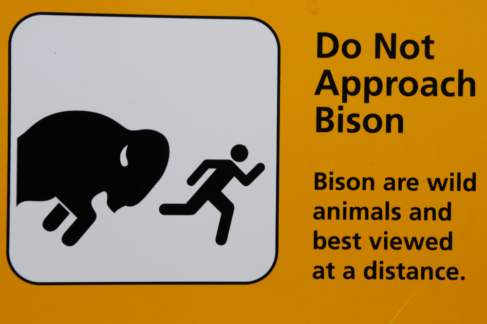 Bison Warning at Tallgrass Prairie