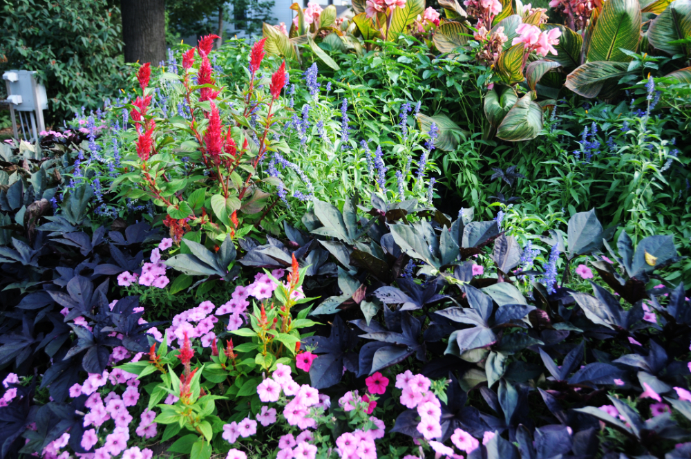 Old Prairie Town Garden in Topeka Kansas