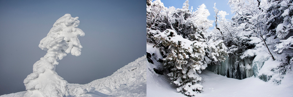 Mount Mansfield, the highest mountain in Vermont