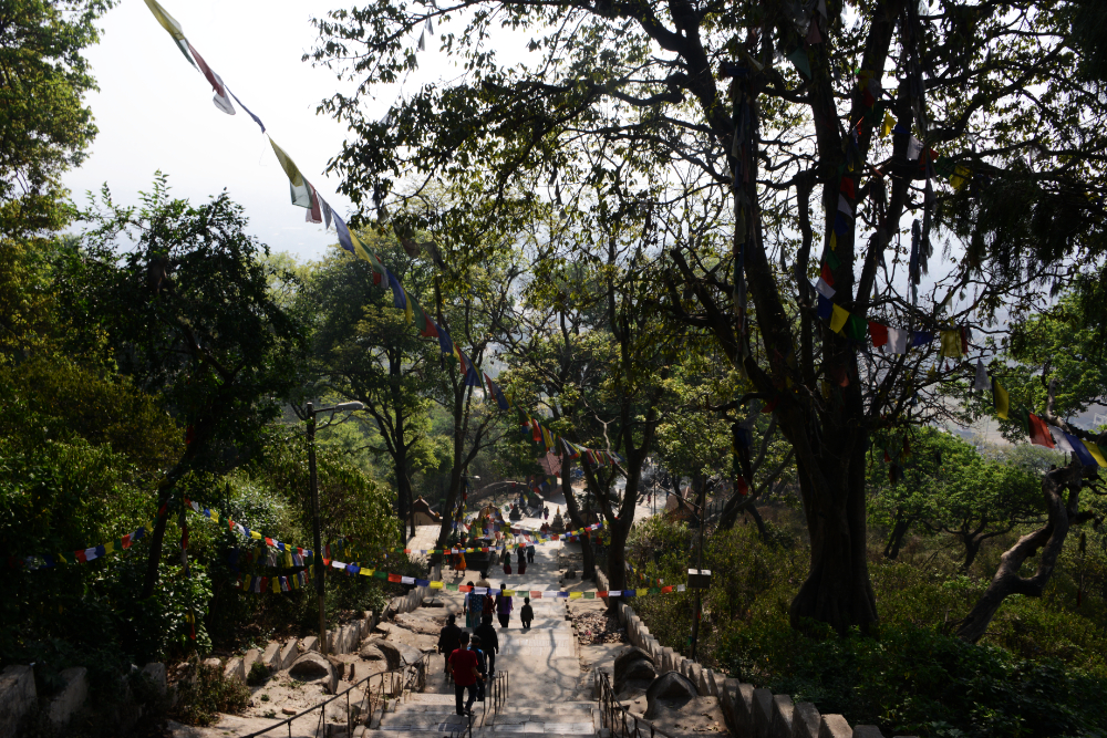View down the steep stone staircase leading to Swayambhunath Monkey Temple
